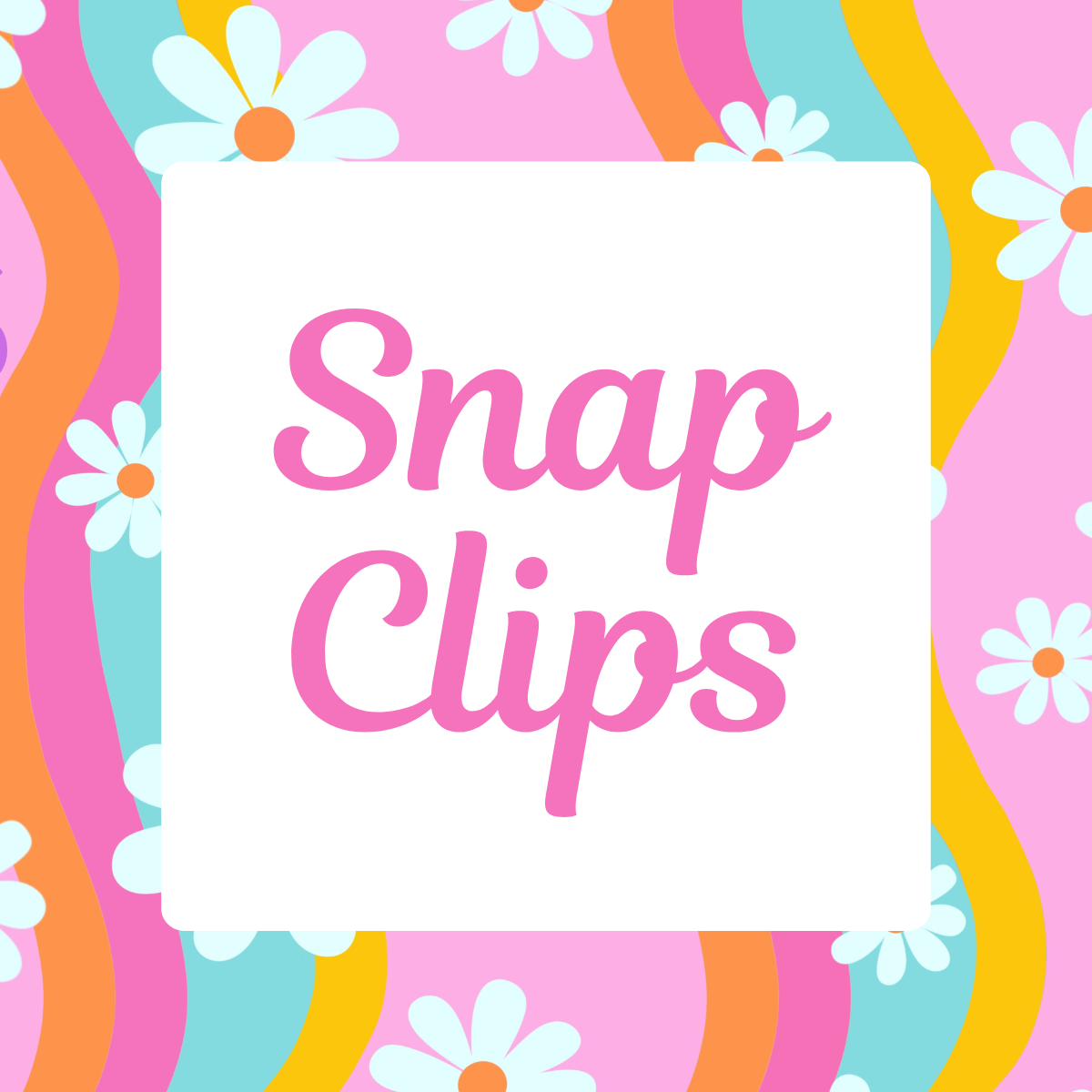 Snap Clips