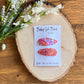 Snap Clip Set—Coral/lavender Floral
